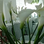 Eveline Portosole 4* San Remo