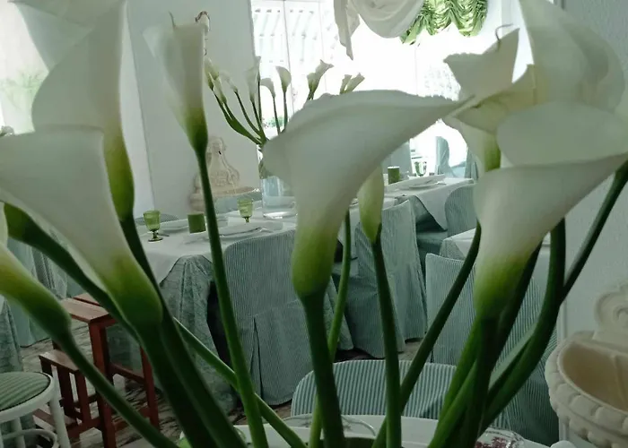 Eveline Portosole 4* Санремо