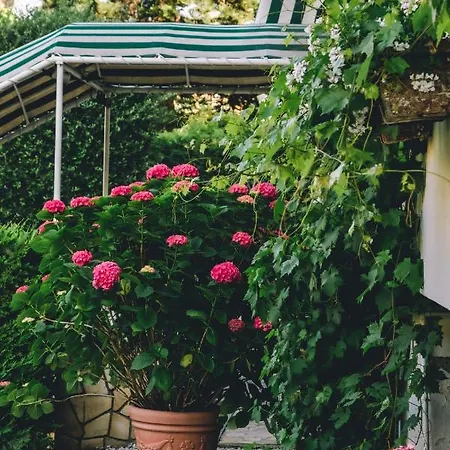 Eveline Portosole 4*