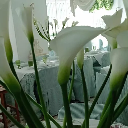 Eveline Portosole 4* Sanremo