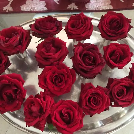 Отель Eveline Portosole Санремо