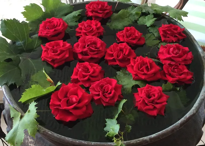 Hotel Eveline Portosole 4*